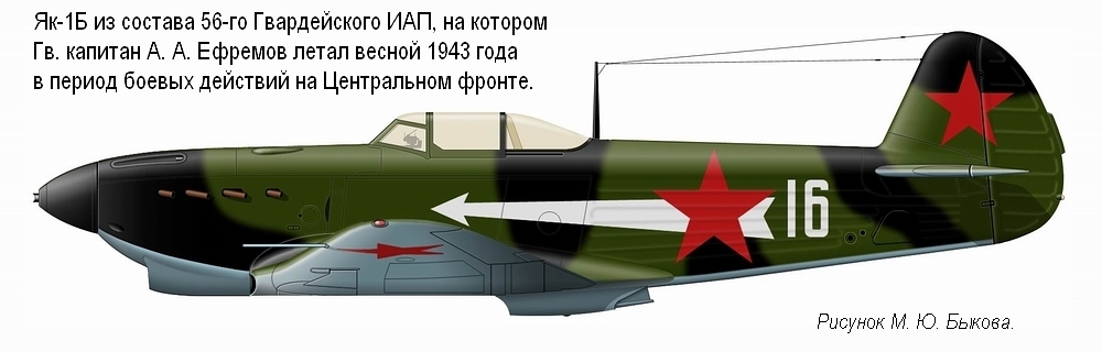 ��-1� ��. �������� �. �. ��������. 56-� ����, 1943 �.
