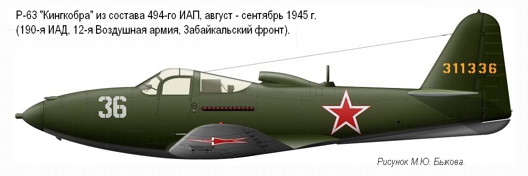 P-63 '���������' �� ������� 494-�� ��� (12-� ��, ������������� �����), ������ 1945 �.