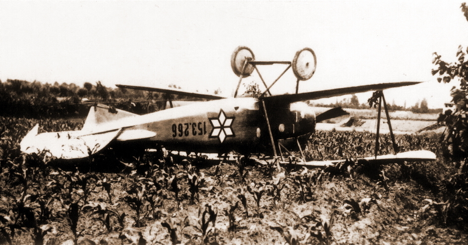 ��������� ������ ��������� ������� � ���������� D.III (Oef) � �������� ������� 153.266, ������ �� 15 ���� 1918 ����. ��������� ��������� ��� ��������� �� Flik 51/J ����� � ����. - ׸���� �������, �������� �� ���� | Warspot.ru