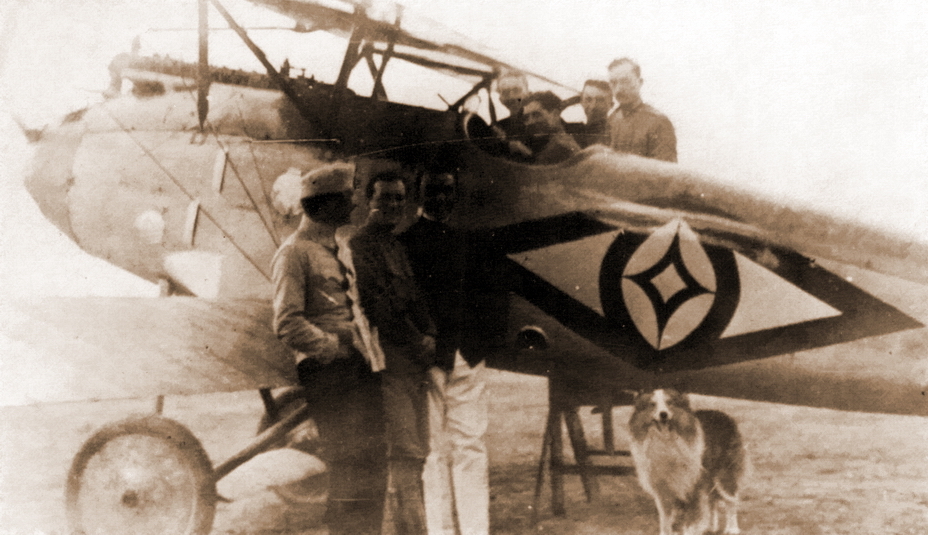 ������ ��������� (����� � ������� ������) 23 ������� 1917 ���� ���������� ���� ���������� D.III � �������� ������� 153.06 ������ (����� � ������) � ����������� (������ � ������� ������) ������ ��� ������� �� �� ���� ������� ������������ SP.3 �� 45-� ����������. - �������� ������ ������ � ����� | ������-������������ ������ Warspot.ru