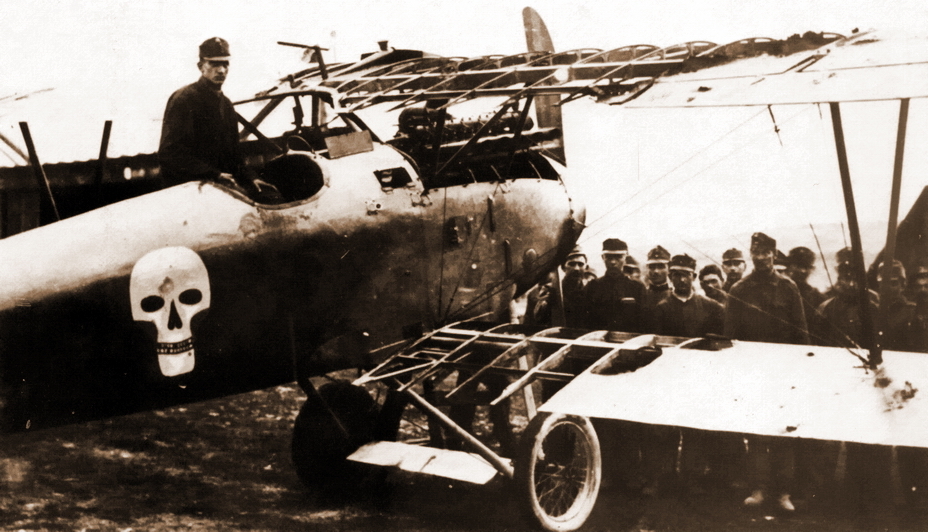 ������ ��������� � ��� ���������� ������ ������� ���������� D.III (�������� ����� 153.45) ����� ��� 1 ������� 1918 ����. �� ���� ������� �� ����� � ������� 1917 �� ������ 1918 ��. � ������� ������ ��������� �����. - �������� ������ ������ � ����� | ������-������������ ������ Warspot.ru