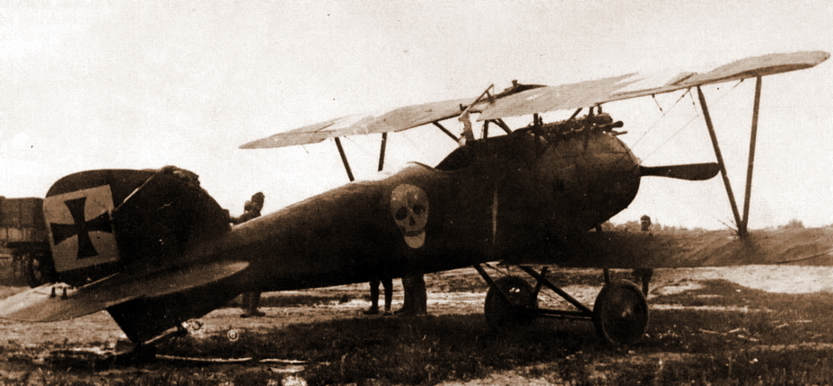 ��������� ������������ ����������� ���, ���������� D.III (�������� ����� 153.209), �� ������� ��� � ���� 1918 ���� ������� ��������� ������ ��������� ������. - �������� ������ ������ � ����� | ������-������������ ������ Warspot.ru