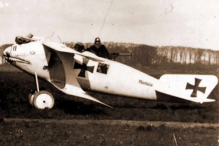 �������� ������-��������� LFG Roland C.II, �������� �� ����������� ��������� ����� �������� ������� �������� ���� (Whalefish) (http://www.modelersalliance.com) - ���� ������ ���� ����� | Warspot.ru
