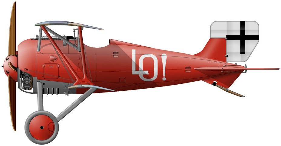 Siemens-Schuckert D.III (�������� ����� D8350/17), ������� ��������� ������������ �������� �� ��������� ������� ����-���������� �����. �� ����� �� ��� � 3 ������� 1918 ����, �� � ���������� ����� ����� ������������� ���� � ���������� ������� ��������� ���� � ���������� �� ������� - ������ ����� ���������� | Warspot.ru